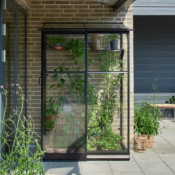 Serre de jardin adossée 0,8m² noire en verre trempé Qube - Halls