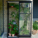 Serre de jardin adossée 0,8m² noire en verre trempé Qube - Halls