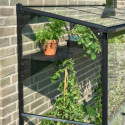 Serre de jardin adossée 1,2m² noire en verre trempé Qube - Halls