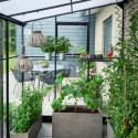 Serre de jardin adossée 7,1m² noire en verre trempé Qube - Halls