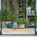 Serre de jardin adossée 7,1m² noire en verre trempé Qube - Halls