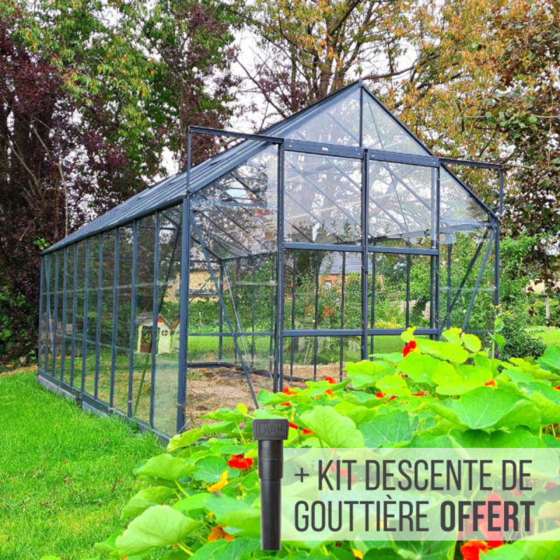 Serre Laurus Uranus 12,90m² en aluminium laqué vert et verre trempé 3mm + embase incluse - Natura Lams
