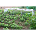 Serre chenille de jardin 1,3x5m en PE non armé 200 microns Serres Tonneau