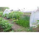 Serre chenille de jardin 1,3x5m en PE non armé 200 microns Serres Tonneau