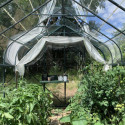 Système d’ombrage pour serres en aluminium laqué gris Carvi et Laurus 8,10m² - Lams