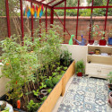 Serre de jardin LUXIA Rétro sur muret 14,30m² en aluminium laqué et verre trempé 4mm - Lams