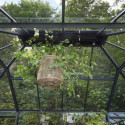 Serre de jardin Grand Oase 25,6m² en aluminium noir et verre trempé 3mm - Juliana