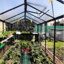 Serre de jardin R306H 13,62m² en aluminium noir et verre trempé BLACKLINE – ACD