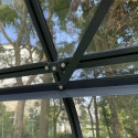 Serre de jardin Comtesse 11m² en aluminium anthracite et verre trempé 4mm - Green Protect