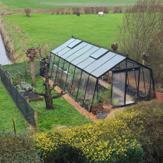 Serre de jardin S208 22,53m² en aluminium laqué noir et verre trempé BLACKLINE – ACD