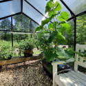 Serre de jardin Hybrid 8,41m² en verre trempé et polycarbonate Sanus XL9 – Gampre