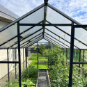 Serre de jardin Hybrid 9,8m² en verre trempé et polycarbonate Sanus UP! L10 - Gampre