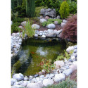 Bassin de jardin préformé 250L Start - Ubbink