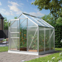 Serre de jardin Comet 3,8m² en aluminium anodisé et polycarbonate 4mm - Vitavia