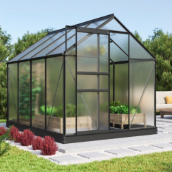 Serre de jardin Comet 5m² en aluminium noir et polycarbonate 4mm - Vitavia
