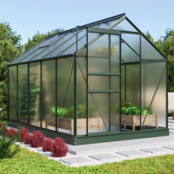 Serre de jardin Comet 6,2m² en aluminium émeraude et polycarbonate 4mm - Vitavia