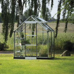 Halls Serre de jardin en verre Gris 2.5m²