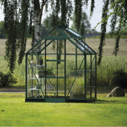 Halls Serre de jardin en verre Vert 2.5m²