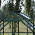 Halls Serre de jardin en verre Vert 2.5m²