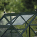 Halls Serre de jardin en verre Vert 2.5m²