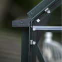 Halls Serre de jardin en verre Vert 2.5m²