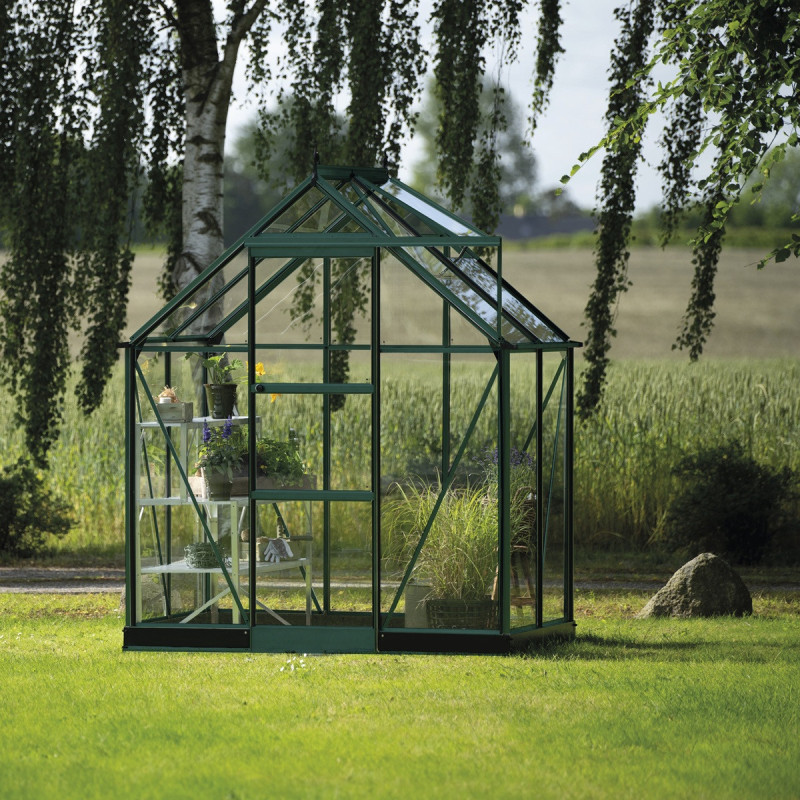 Halls Serre de jardin en verre Vert 2.5m²