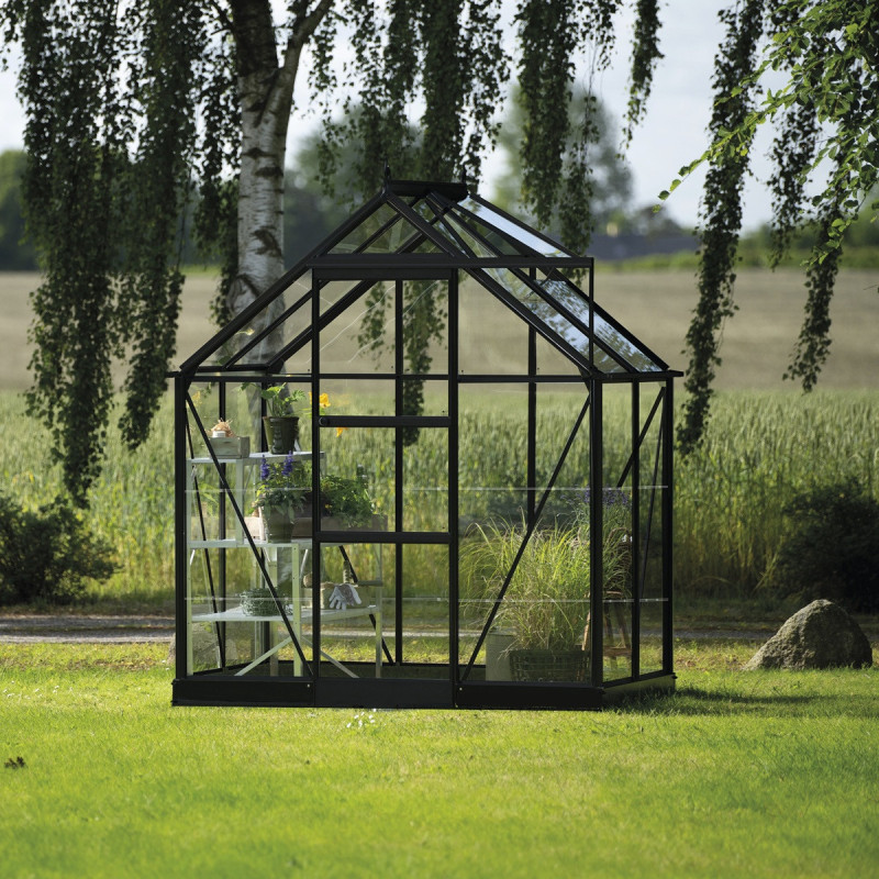 Halls Serre de jardin en verre Noir 2.5m²