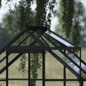 Halls Serre de jardin en verre Noir 2.5m²