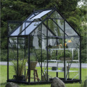 Halls Serre de jardin en verre Noir 2.5m²