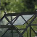 Halls Serre de jardin en verre Noir 2.5m²