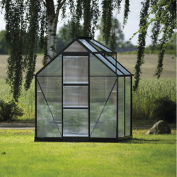 Halls Serre de jardin en polycarbonate Noir 2.5m²