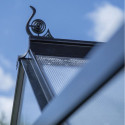 Halls Serre de jardin en polycarbonate Noir 2.5m²