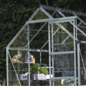 Halls Serre de jardin en verre Gris 3.7m²