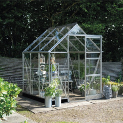 Halls Serre de jardin en verre Gris 3.7m²