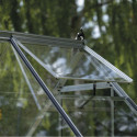 Halls Serre de jardin en verre Gris 3.7m²