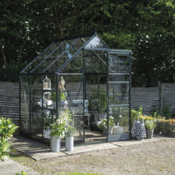 Halls Serre de jardin en verre Vert 3.7m²