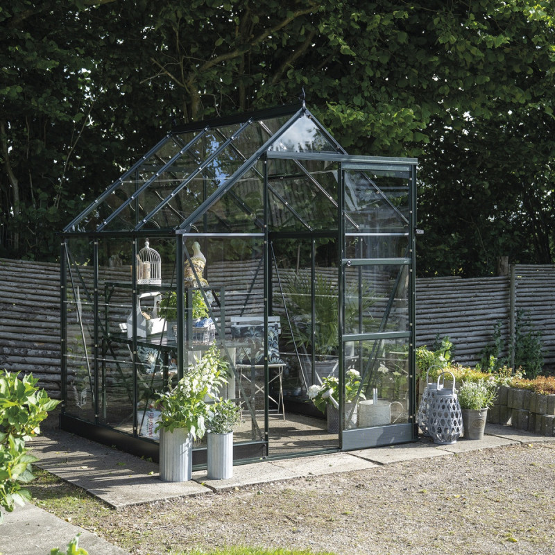 Halls Serre de jardin en verre Vert 3.7m²