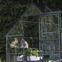 Halls Serre de jardin en verre Vert 3.7m²