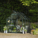 Halls Serre de jardin en verre Vert 3.7m²
