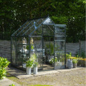 Halls Serre de jardin en verre Vert 3.7m²