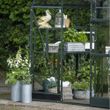 Halls Serre de jardin en verre Vert 3.7m²