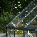 Halls Serre de jardin en verre Vert 3.7m²