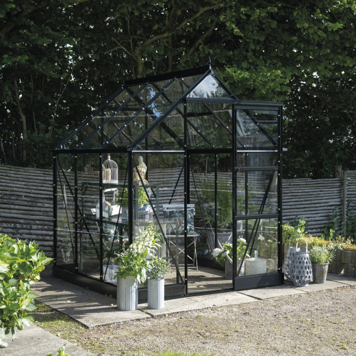 Halls Serre de jardin en verre Noir 3.7m²