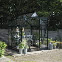 Halls Serre de jardin en verre Noir 3.7m²