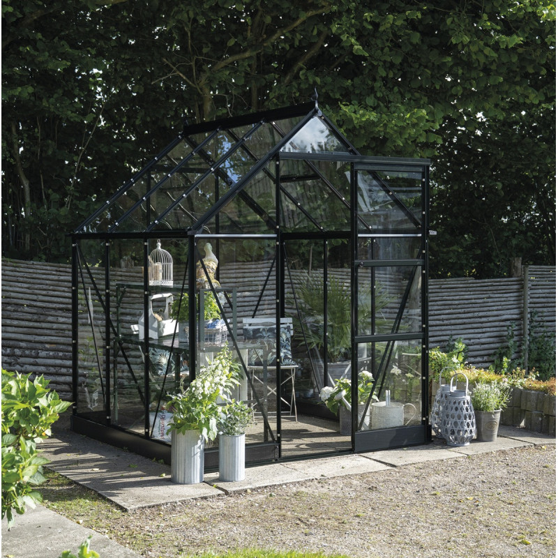 Halls Serre de jardin en verre Noir 3.7m²