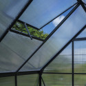 Halls Serre de jardin en polycarbonate Noir 3.7m²