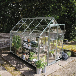Halls Serre de jardin en verre Gris 4.9m²