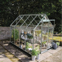 Halls Serre de jardin en verre Gris 4.9m²