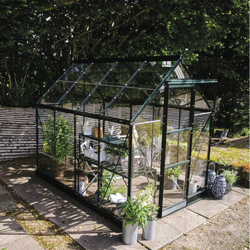 Halls Serre de jardin en verre Vert 4.9m²