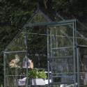 Halls Serre de jardin en verre Vert 4.9m²